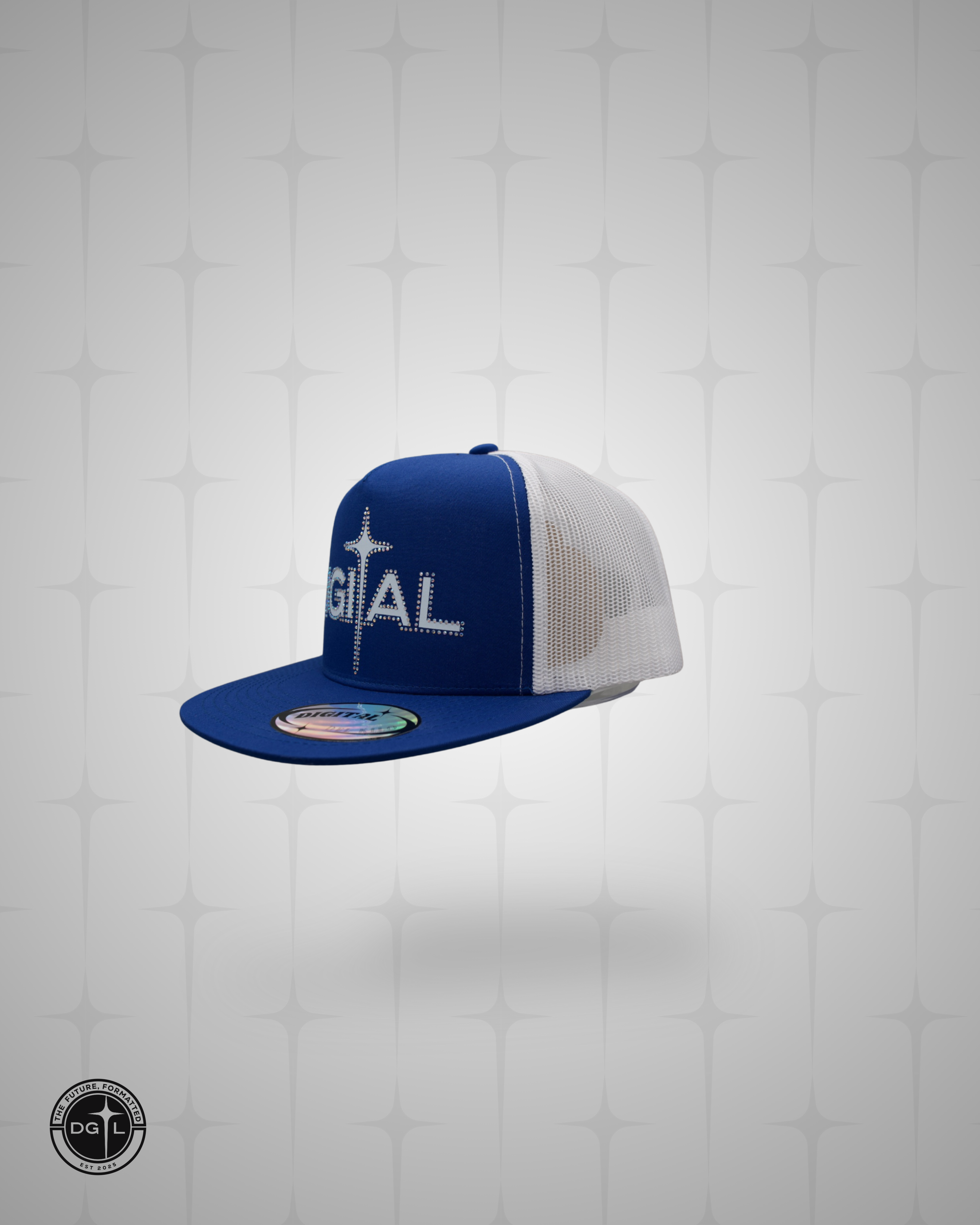 DGL BLUE HAUS